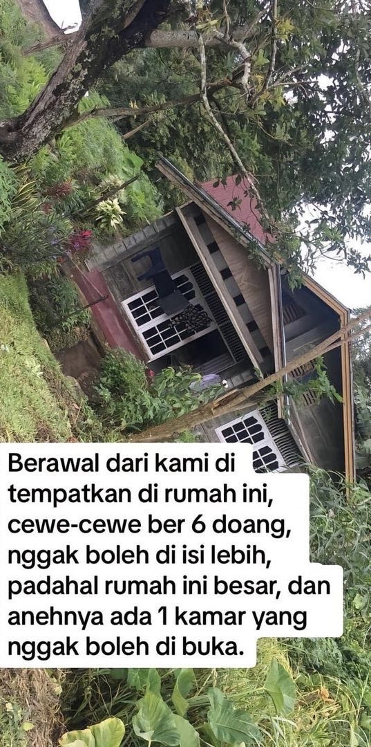 kekocakandunia's tweet image. niat mau KKN malah berujung jadi bahan percobaan buat tes kesaktian

KKN yang harusnya menyenangkan, berubah menjadi menakutkan