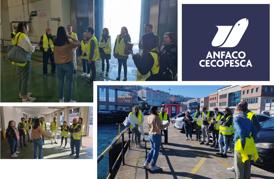 ⚓Participamos en el encuentro con agentes vinculados al ámbito de la ciencia y divulgación en el puerto de Vigo, dentro del proyecto #EUSONECONOMÍASOCIALDOMAR, organizado por @FUNDAMAR_ y @cofradiavigo para conocer la importancia socioeconómica del sector de la pesca artesanal.