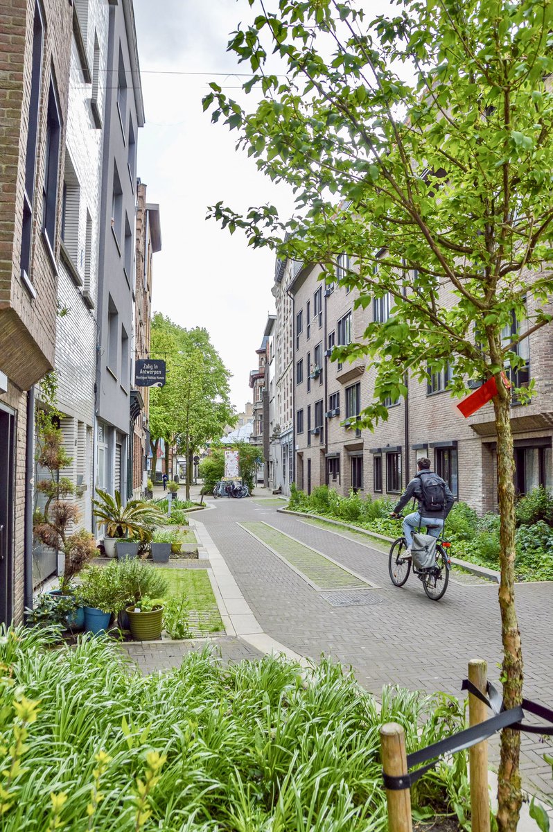 Working with local residents on their design and maintenance, Antwerp is piloting tuinstraten (“garden streets”) in five districts across the city. They improve resiliency (to flooding and heat), liveability and sociability—making these spaces calmer, greener and more beautiful.