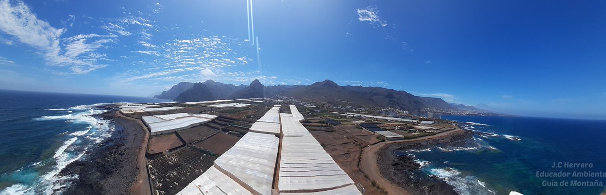 La Punta del Hidalgo es una isla baja con zona rocosa, gran extensión intermareal y un santuario de aves 🐦 que nos visitan cada año. 📷 Te recomiendo pongas teléfono en horizontal #PuntadelHidalgo #LaLaguna #EducadorAmbiental #Tenerife 🔴 Foto realizada SIN DRON