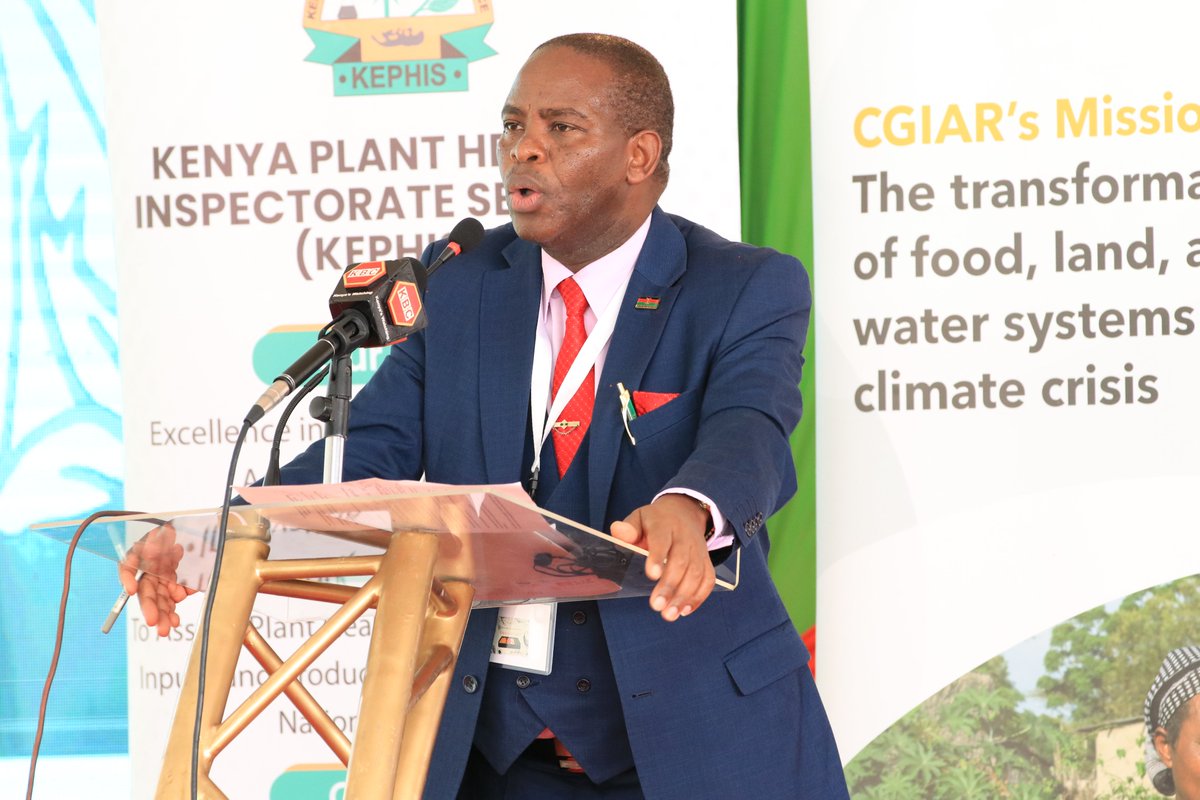 RTB-EAGEL #Groundbreaking: 'This ground-breaking event for the Root Tubers and Bananas East African Germplasm Exchange Lab is being held at an opportune time when Kenya has established measures to enhance its #productivity for #FoodSecurity' #KEPHIS MD, Prof. T. M. Mutui