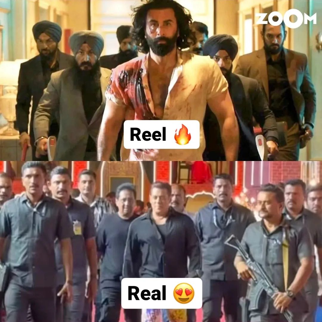 From reel to real 👀
'Jab ANIMAL-TIGER honge to DAHADENGE hi' 🐯🔥
.
.
#zoomtv #salmankhan #salmankhanfans #salmankhanfc #beingsalmankhan #ranbirkapoor #ranbirkapoorfans #ranbirkapoorlove #ranbirkapoorfc #tiger #fyp #trending