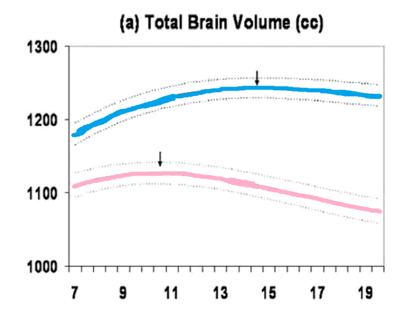 lasitajs_nr1's tweet image. Viena no fizioloģiskajām atšķirībām starp dzimumiem ir smadzeņu nobriešanas ātrums. Pētījums rāda, ka zēniem smadzenes sasniedz savu attīstības pīķi 15 g.v., kamēr meitenēm 11 g.v.
Tā ir 4(!) gadu starpība. Tāpēc arī lielākās atšķirības starp bērniem var novērot 5.-9. klasē.