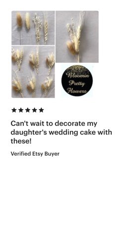 PrettyBloomin's tweet photo. Decorate your cakes in style with this range of 24 pretty stems :-π§
π6 x bunnytails in your chosen colour
π6 x white bunnytails
π6 x white wheat
π6 x white broom π§
https://t.co/58IaYExEgA
#cake #cakedecorating #cakestyle #handmade #wedding #birthday #birthdaycake https://t.co/FWeeP006bI