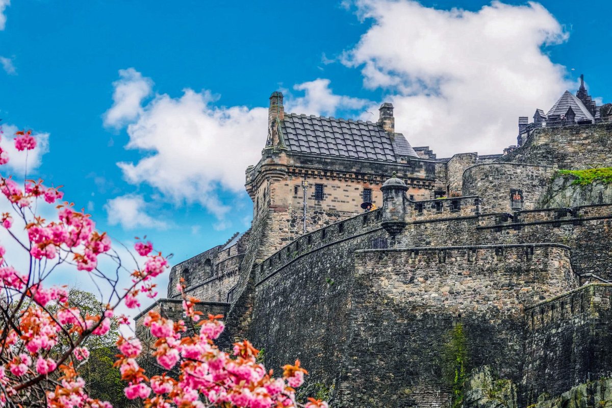 Cherry Blossom on Princes Street #Edinburgh #EdinburghCastle #CherryBlossom #Scotland