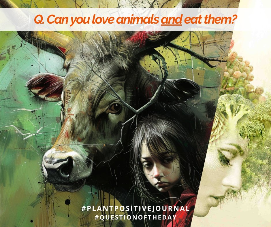 Each month in the #plantpositivejournal I share a question to contemplate…

Q. Can you love animals and eat them?

#plantbased #healthylifestyle #question #vegan #questionoftheday #listentoyourheart #journal