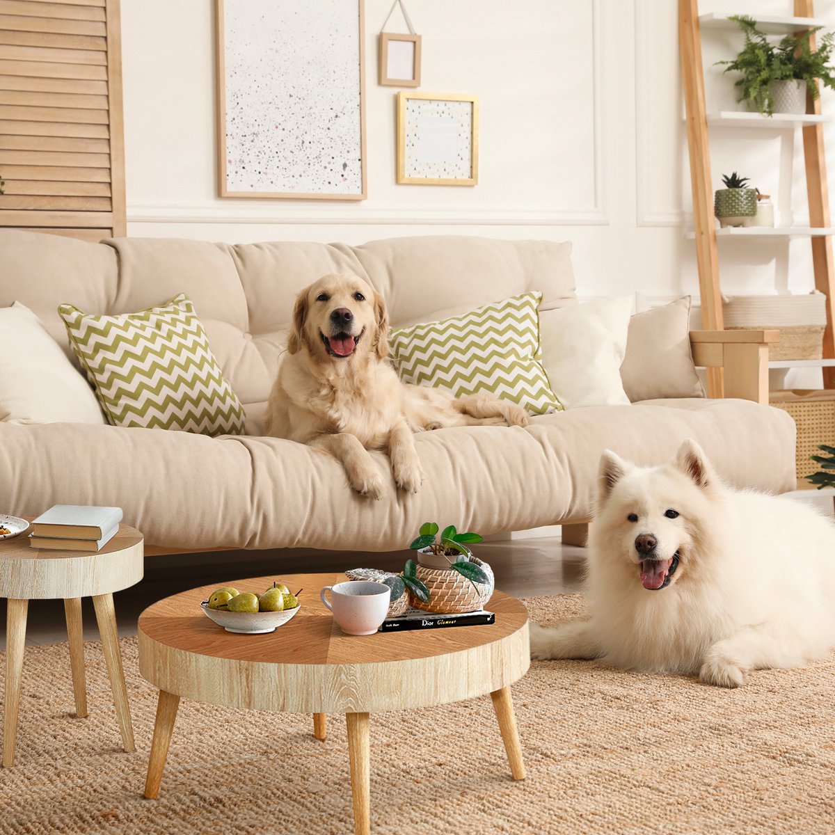 giratreeshop's tweet image. The canvas of our home gets brighter as we inch from spring showers to summer sun! ✨

#livingroom #springhomedecor #stylingtips #homestyle