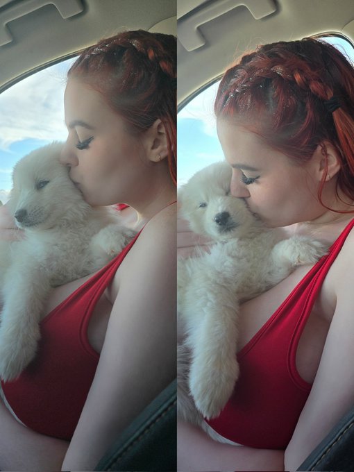1 pic. Meet Stewie ?‍❄ my little polar bear https://t.co/Yw0dMoNy6P