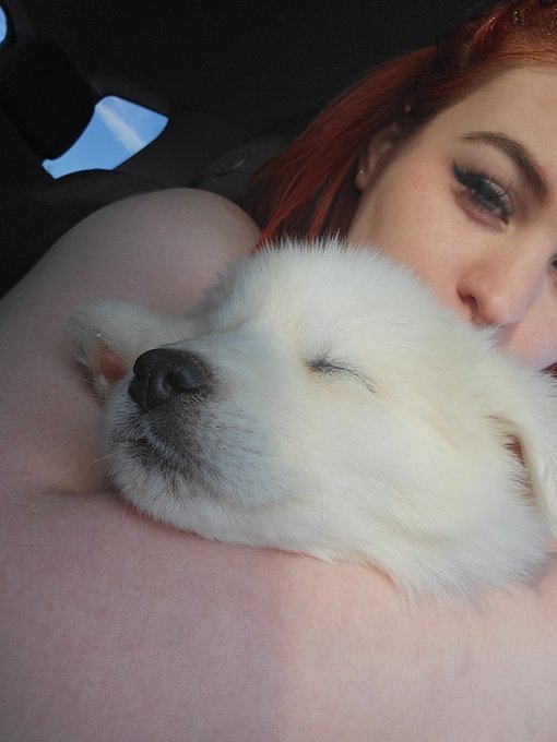 3 pic. Meet Stewie ?‍❄ my little polar bear https://t.co/Yw0dMoNy6P