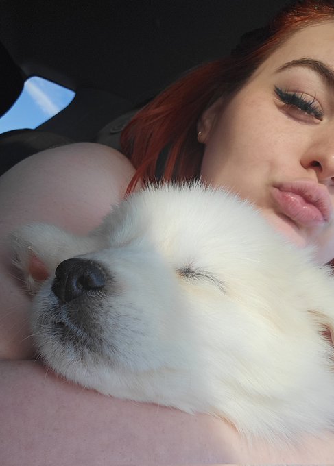 4 pic. Meet Stewie ?‍❄ my little polar bear https://t.co/Yw0dMoNy6P