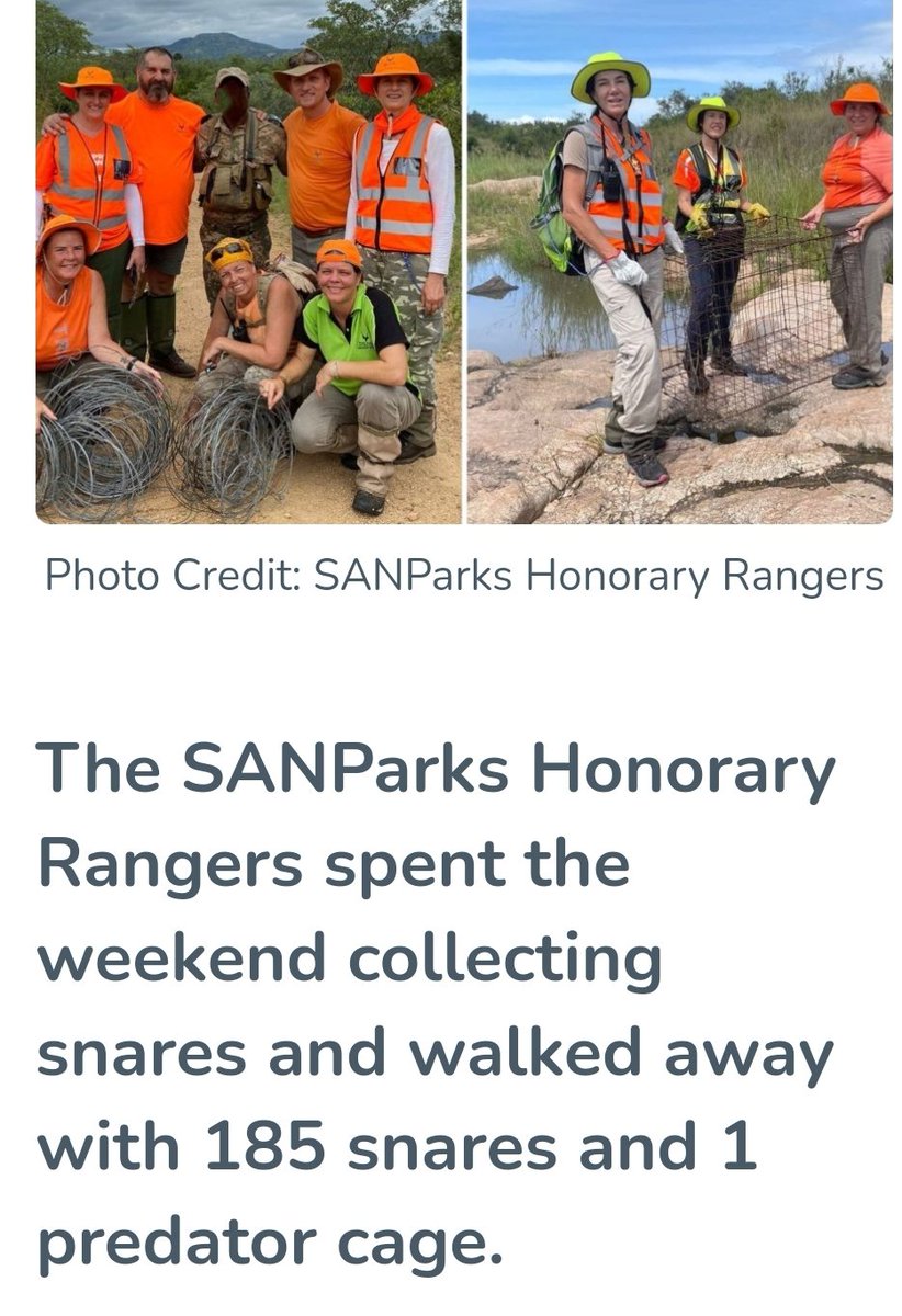 Congrats to all 👍
@SANParks @SANParksHR @SANParksKNP