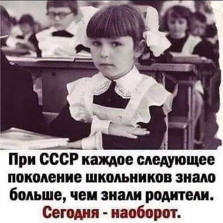 вано шаламов tweet media