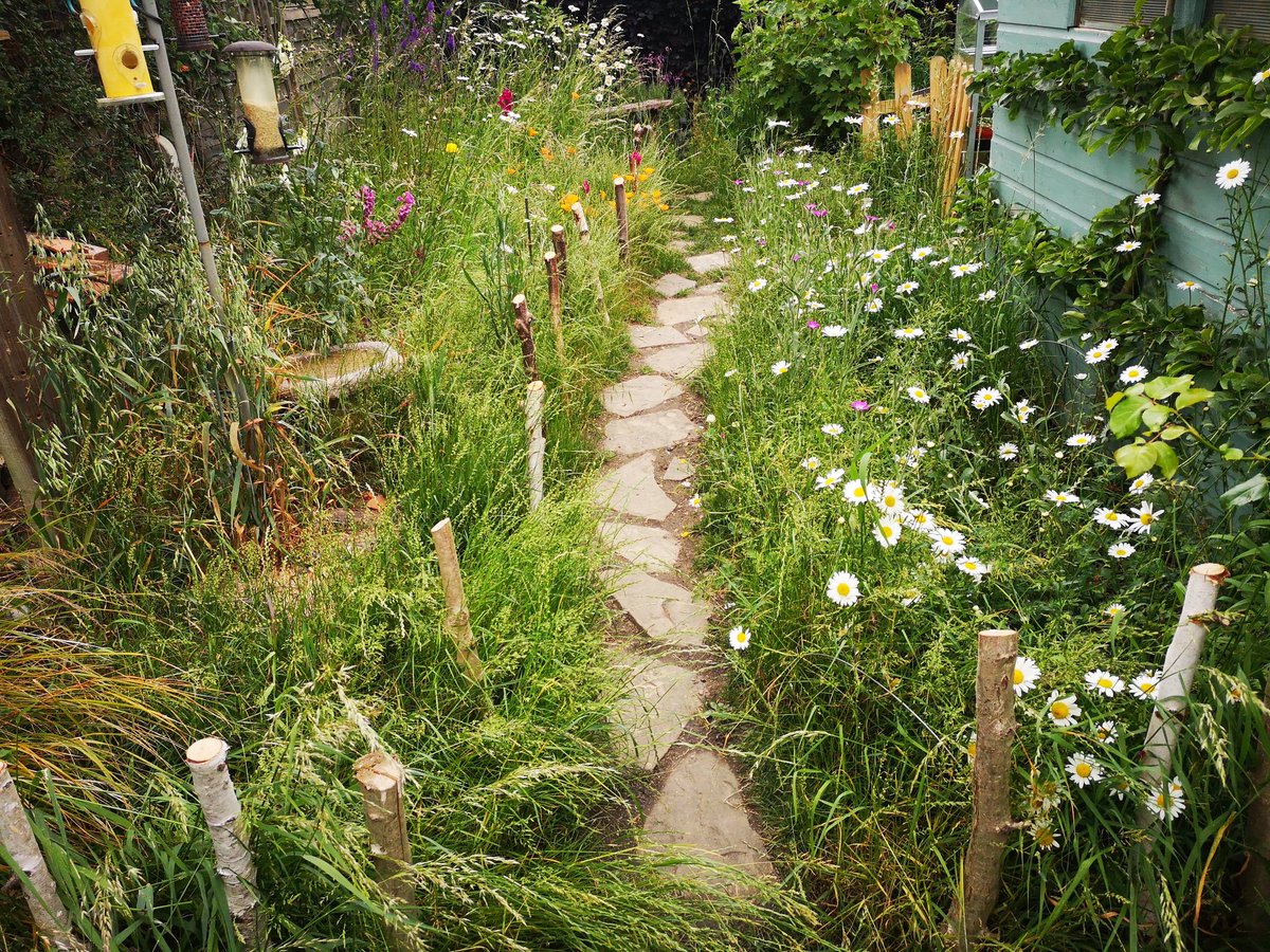 @_JoelAshton @rescuehoadswood I completely agree Joel. I have never understood the concept of #nomowmay and have always had a #nomosummer in a patch in the garden. Otherwise I would not get any oxeydaisies, poppies or corncockle!