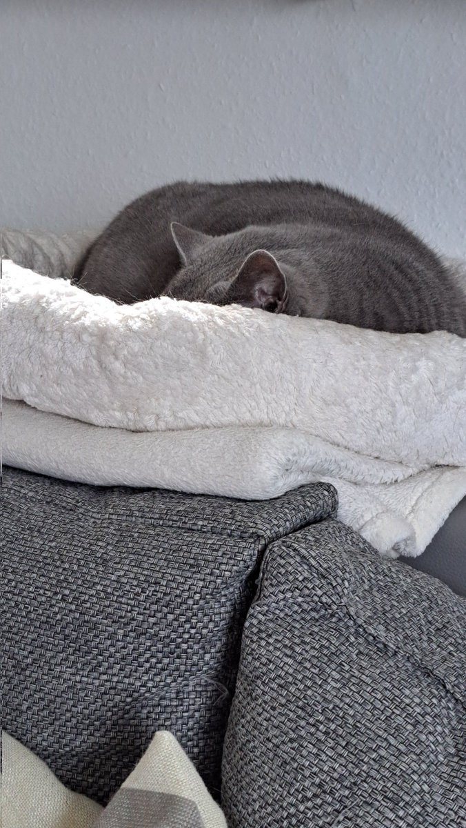 Frau_Gans's tweet photo. @Kachelmann Seh ich dich nicht, siehst du mich nicht.... hihi.... https://t.co/ewjjqQzj5M