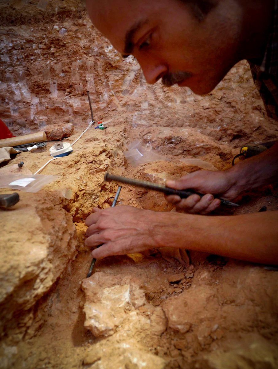 iphes's tweet image. Moments inoblidables amb companys inoblidables! Troballa de parietal #Homoantecesor @FATAPUERCA per #JaumeGuiu. El teu llegat: multitud de fòssils extrets amb les teves mans d’artesà. Avui @reus_cat li entrega  #GuardóalConeixement a títol pòstum. 10 anys en el nostre record 🖤