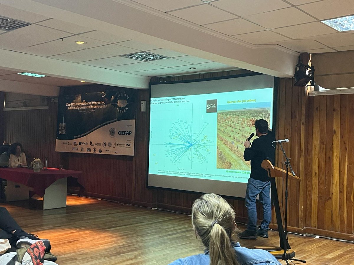 👨‍🔬Pedro Marco y Sergio Sánchez, investigadores del departamento de Ciencia Vegetal del CITA, participan esta semana en la International Workshop on Edible Mycorrhizal Mushrooms en Esquel, Argentina @Ciefap_ @IntactProgetto #CIET @DPHuesca #ciencia #investigación #trufanegra