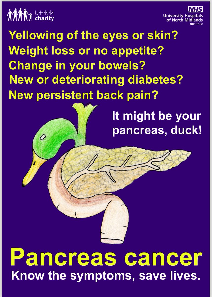 Richard Laing (@richlaing) on Twitter photo “Ay up me Duck!!”
We have launched our Pancreas Duck Campaign to raise awareness of the signs and symptoms of Pancreas Cancer.
Know the symptoms, save lives.
<a href="/PancreaticCanUK/">Pancreatic Cancer UK</a> <a href="/PancSocGBI/">PANCREAS SOCIETY GBI</a> <a href="/UHNM_NHS/">UHNM NHS Trust 🏥</a> <a href="/UHNMCharity/">UHNM Charity 🏥</a> <a href="/SentinelStaffs/">Stoke-on-Trent Live</a> <a href="/BBCMidlandsRBX/">BBC Midlands Today RBX</a> “Ay up me Duck!!”
We have launched our Pancreas Duck Campaign to raise awareness of the signs and symptoms of Pancreas Cancer.
Know the symptoms, save lives.
<a href="/PancreaticCanUK/">Pancreatic Cancer UK</a> <a href="/PancSocGBI/">PANCREAS SOCIETY GBI</a> <a href="/UHNM_NHS/">UHNM NHS Trust 🏥</a> <a href="/UHNMCharity/">UHNM Charity 🏥</a> <a href="/SentinelStaffs/">Stoke-on-Trent Live</a> <a href="/BBCMidlandsRBX/">BBC Midlands Today RBX</a>