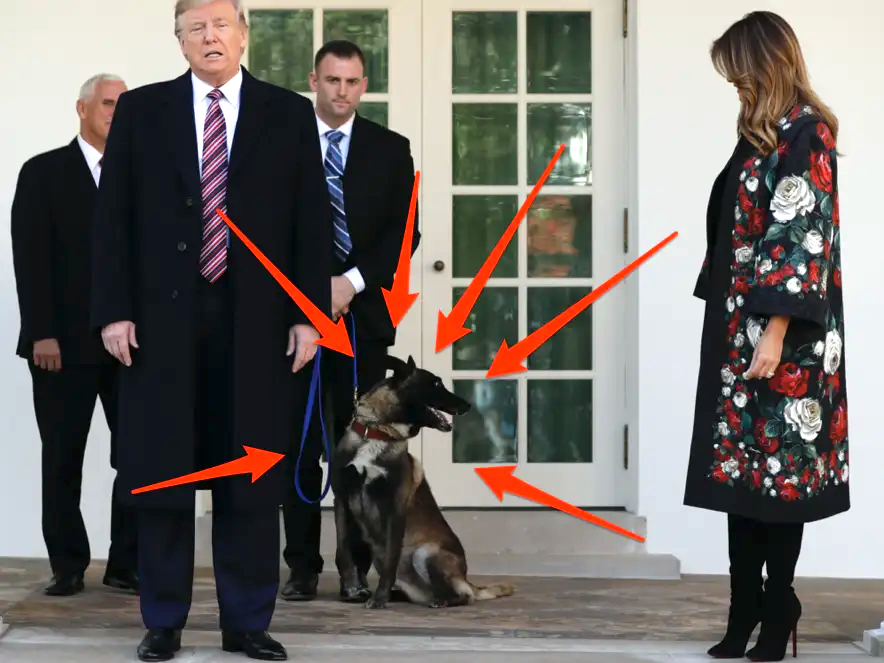 Conan_erc_20's tweet image. What do you notice about this picture of President Trump talking in front of $CONAN? 

I GO FIRST: President #DonaldJTrump and first lady Melania Trump present #Conan, the military working dog injured in the successful operation, before the media in the Rose Garden at the White…