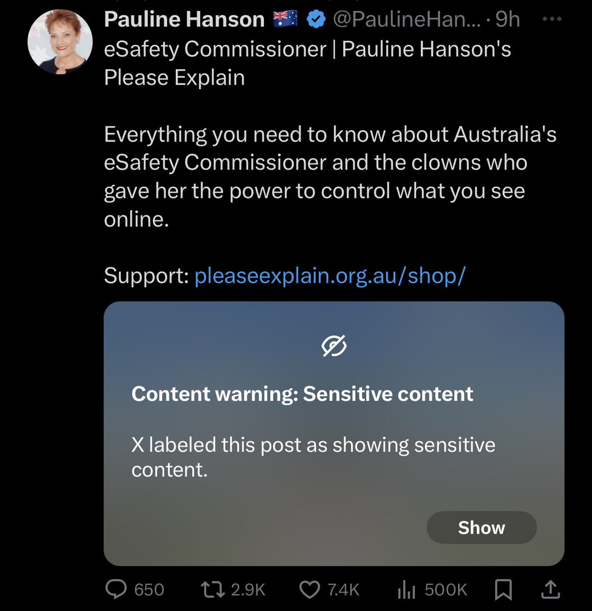 Why in the world has Pauline Hanson’s “Please Explain” video been flagged ‘Sensitive Content’?!

I guess e-Karen is watching the politicians also…. Since the video features Australia’s Prime Minister, Anthony Albanese.. 

What a disgrace that even banter no longer exists.