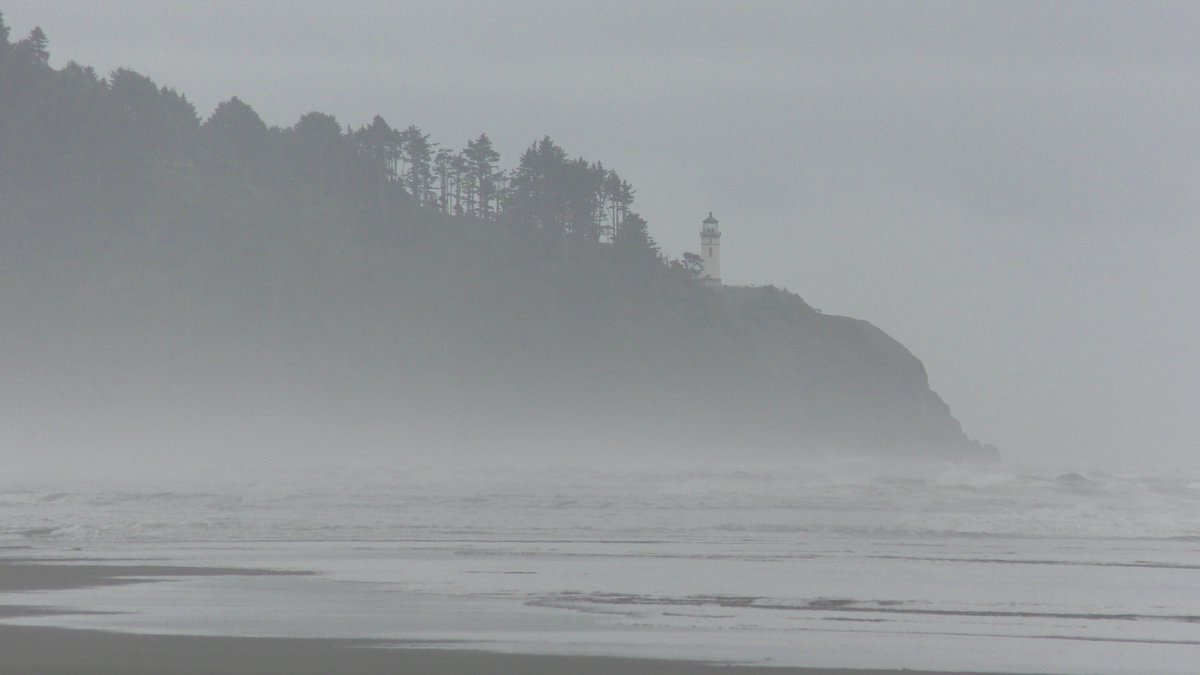 A fog the likes of which the Flying Dutchman himself would saunter out of in full uniform...from Cascadia's lovely coast to you, 'Long Beach, Washington in sea mist'.

#art #photography #WestCoast #sea #ocean #PacificOcean #PacificCoast #Pacific #beach #forest #woods #trees #fog