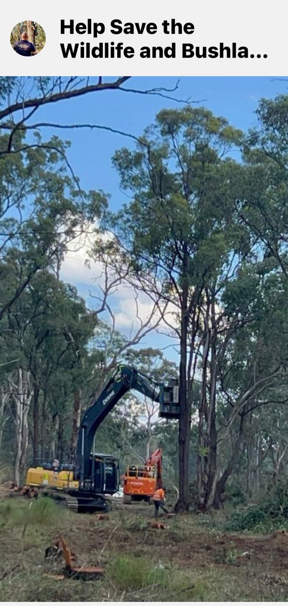 Thanks for Nothing  @Lendlease @GregWarren_  @JohnGrahamALP @PennySharpemlc 

Koala country being destroyed so a multinational company to make windfall profits via rezoning #Campbelltown @savesydneykoala @DavidPocock @mb_dahlstrom #AppinRd