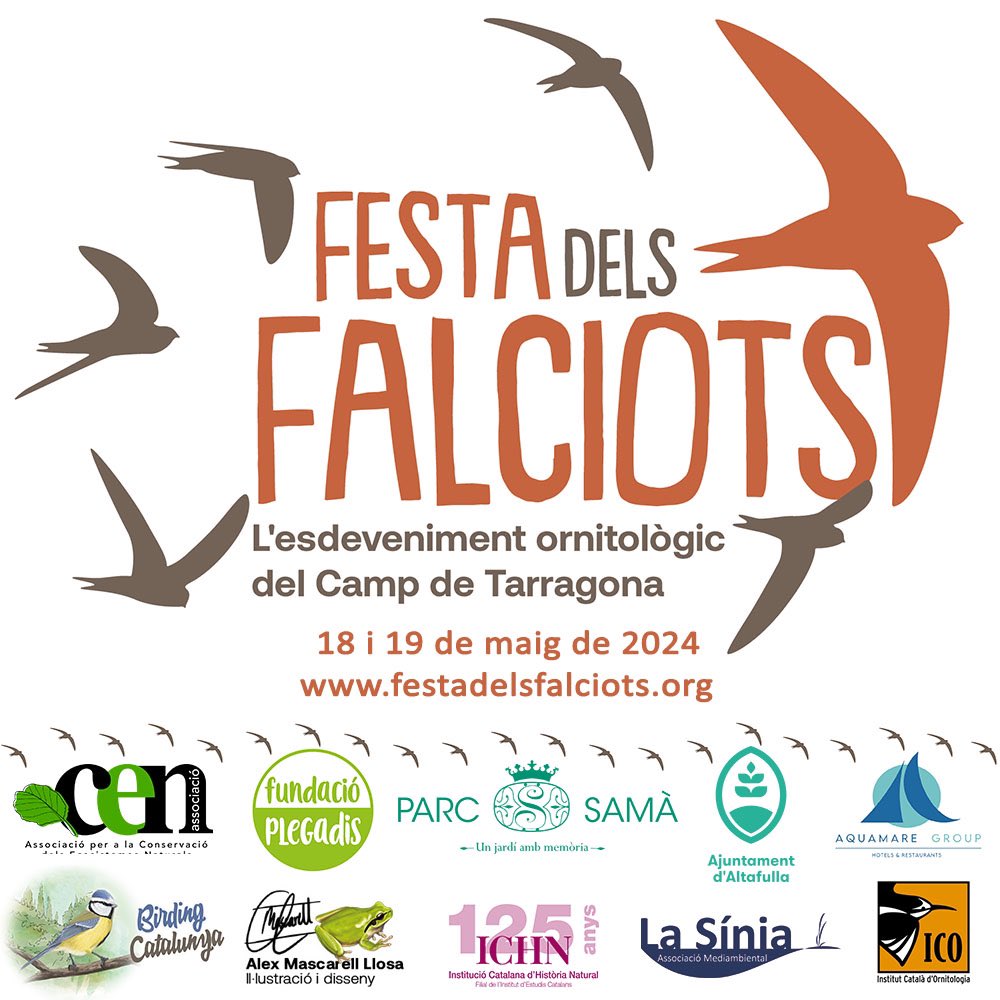 Estem ben contents de poder-vos presentar la Festa dels falciots, l’esdeveniment ornitològic del Camp de Tarragona (festadelsfalciots.org). El 18 i 19 de maig hem preparat un munt d’activitats,per a tots els públics, relacionades amb els ocells. Què farem? Seguiu el fil ⬇️🧵
