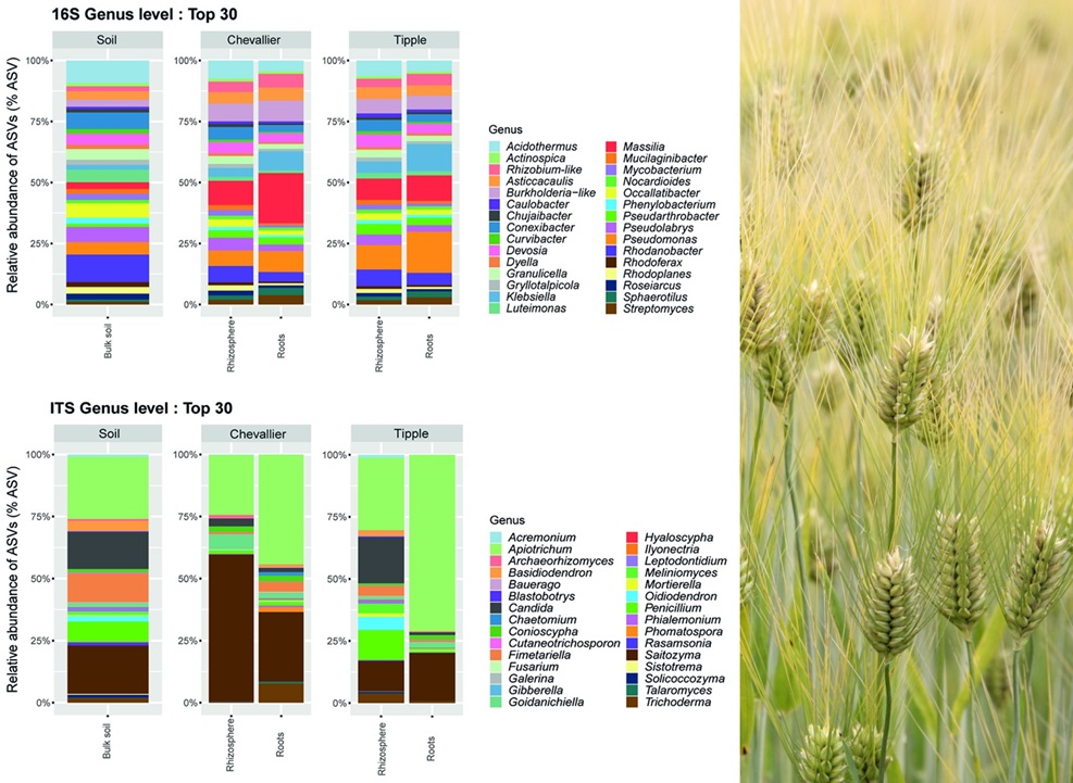 PLOSBiology's tweet photo. Plants secrete #RootExudates into the #rhizosphere to attract microbes. @albapacmo &amp;co show that #barley genotype exerts multi-level selective pressure on soil #Pseudomonas, affecting abundance, genotype &amp; gene expression @JohnInnesCentre #PLOSBiology https://t.co/WdnW3vCZ45 https://t.co/9g1QsKbu1O