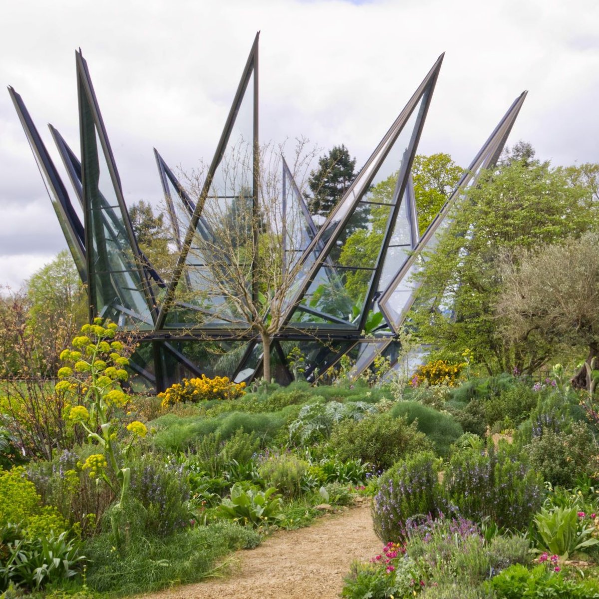 Woolbeding Gardens reopens for the summer. Visitors must book their visit in advance and take the complimentary minibus from Midhurst. It's worth the journey for the Silk Route Garden and the possibility of seeing the 'sepals' of the glasshouse opening up to the sun.