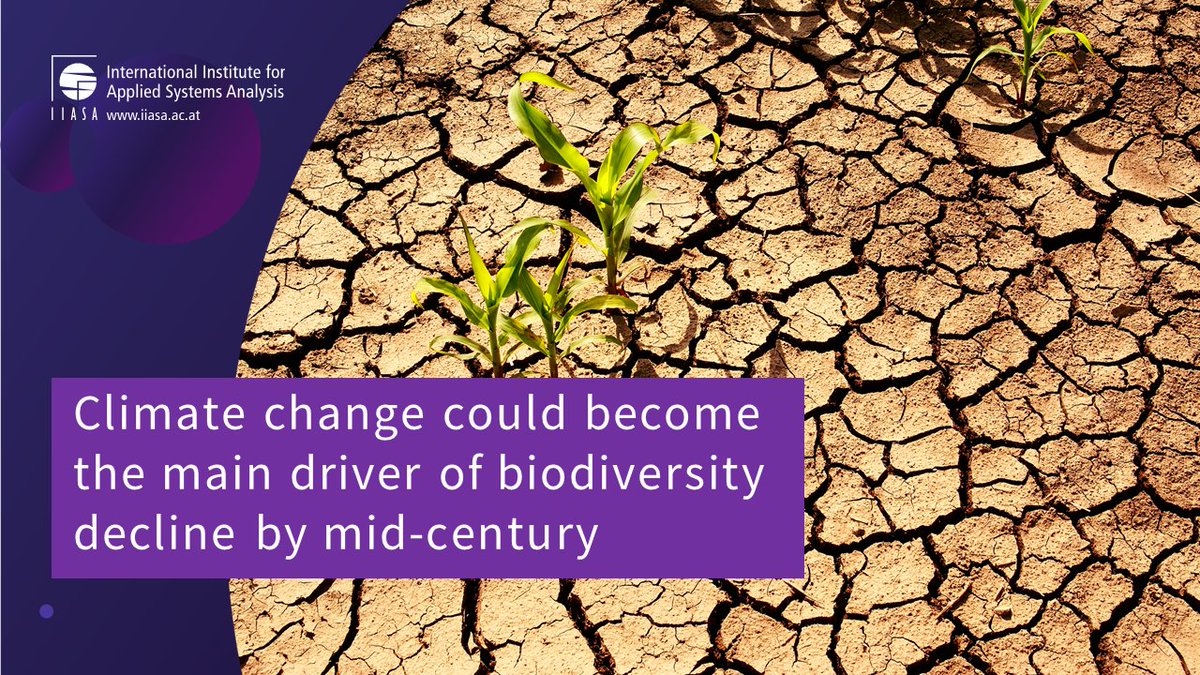 A new @ScienceMagazine study shows that #ClimateChange could become the main driver of #biodiversity decline by the mid-21st century. Find out more 👉 iiasa.ac.at/news/apr-2024/… @pvisconbio @Leclere_David @idiv