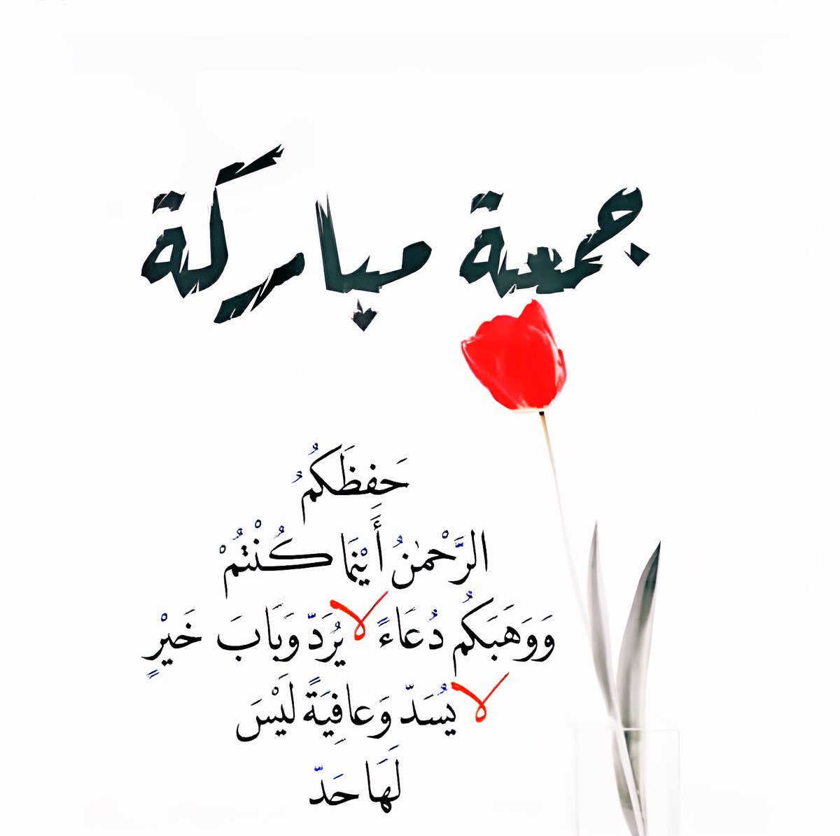 .
كُلنا يَاربّ ، كُلنا بلا استثناء ، أن يُصاحبنا الجّبر كرفيق عَزيز، لا يُغادرنا الدَّهر كُله #صباح__الخير
#جمعة_مباركة