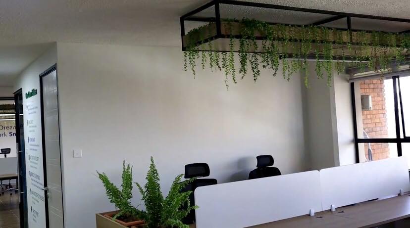 Biophilic design involves the creation of a built environment that increases physical wellbeing and mental contentment among the users of that environment through the use of plants, natural materials, natural light and ventilation as depicted in this office space.