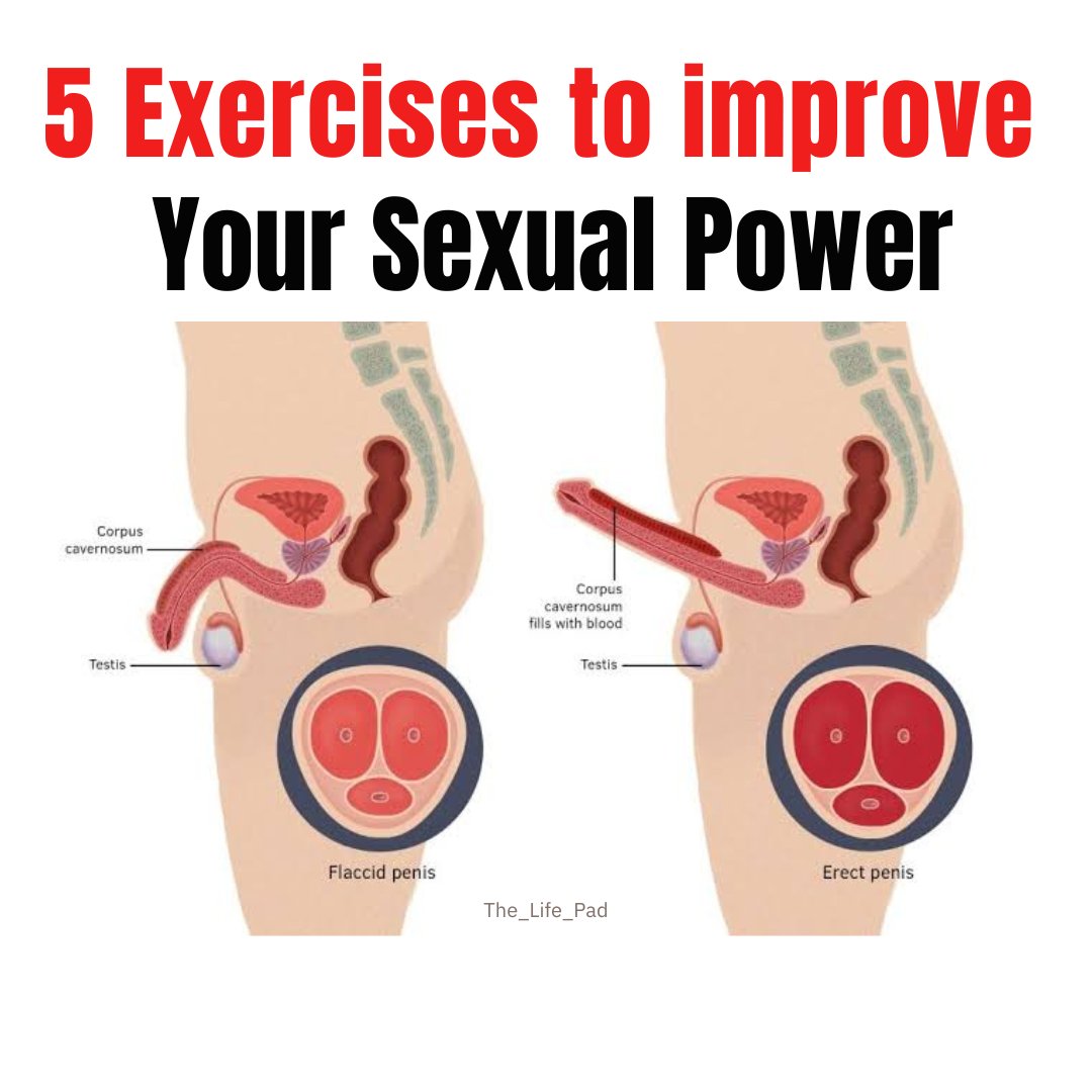 6 exercises to improve your sexual power 🍆✅💯 (for educational purpose only)