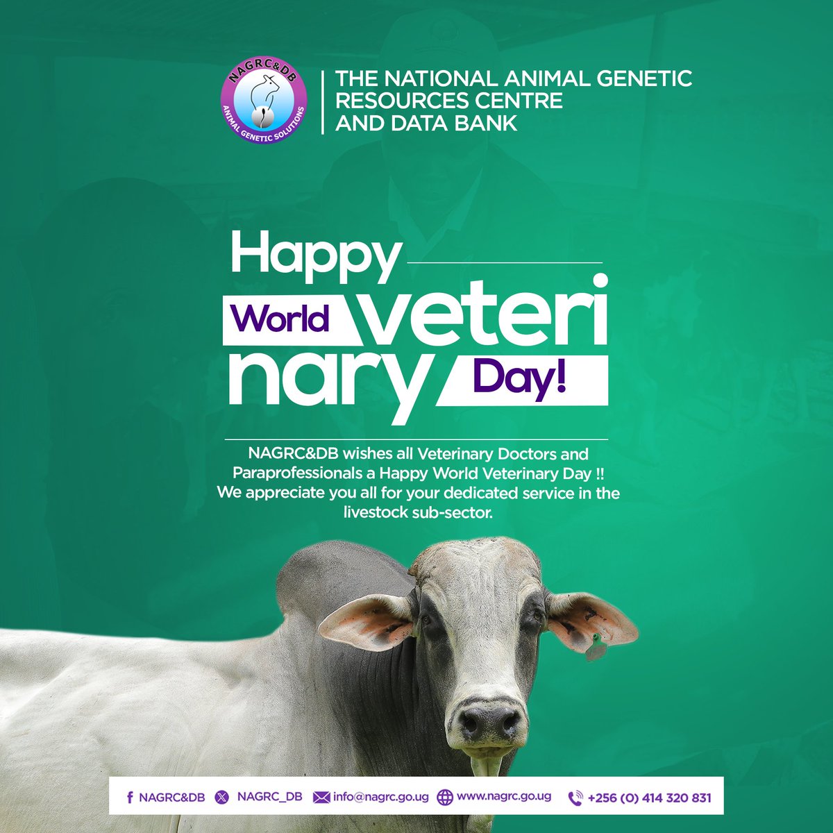 #WorldVeterinaryDay2024 @NAGRC_DB wishes all Veterinary Doctors & Paraprofessionals a Happy World Veterinary Day!! We appreciate you all for your dedicated service in the livestock sub-sector. @FrankTumwebazek @DrRwamiramaBK @beinepeter @Ugveterinarians @PS_MAAIF