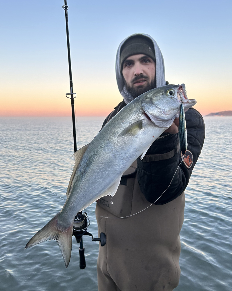 Janas 107 laguna per Giacomo Capresi

seaspin.com

#seaspin #utopiatackle #lures #saltwaterfishing #spinning #fishinglures #fishingtackle #fishing #bigfish #seafishing