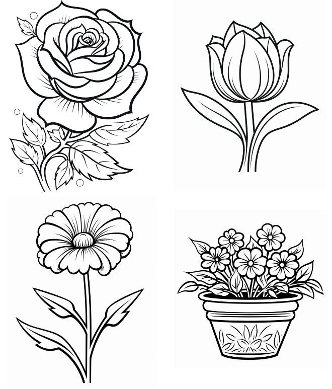 BooksMsti's tweet photo. 🌸 Unleash your inner artist with the Flowers: Bold and Easy Coloring Book. Simple designs for adults and kids to create stunning floral art. Bloom your creativity! https://t.co/NIilZ4Z9Rt #FloralColoring #ArtTherapy” https://t.co/lzRvcsauUJ