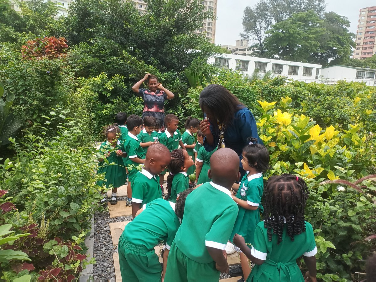 Meet Nikita Gidwani: a teacher in Tanzania known as “Mama Earthworm.” Thanks to her teaching on climate, 4-5% of her graduating class applied to study environmental science. That’s a sure sign for a sustainable future. rockefellerfoundation.org/stories-and-fe…  #EarthDay @teachforall