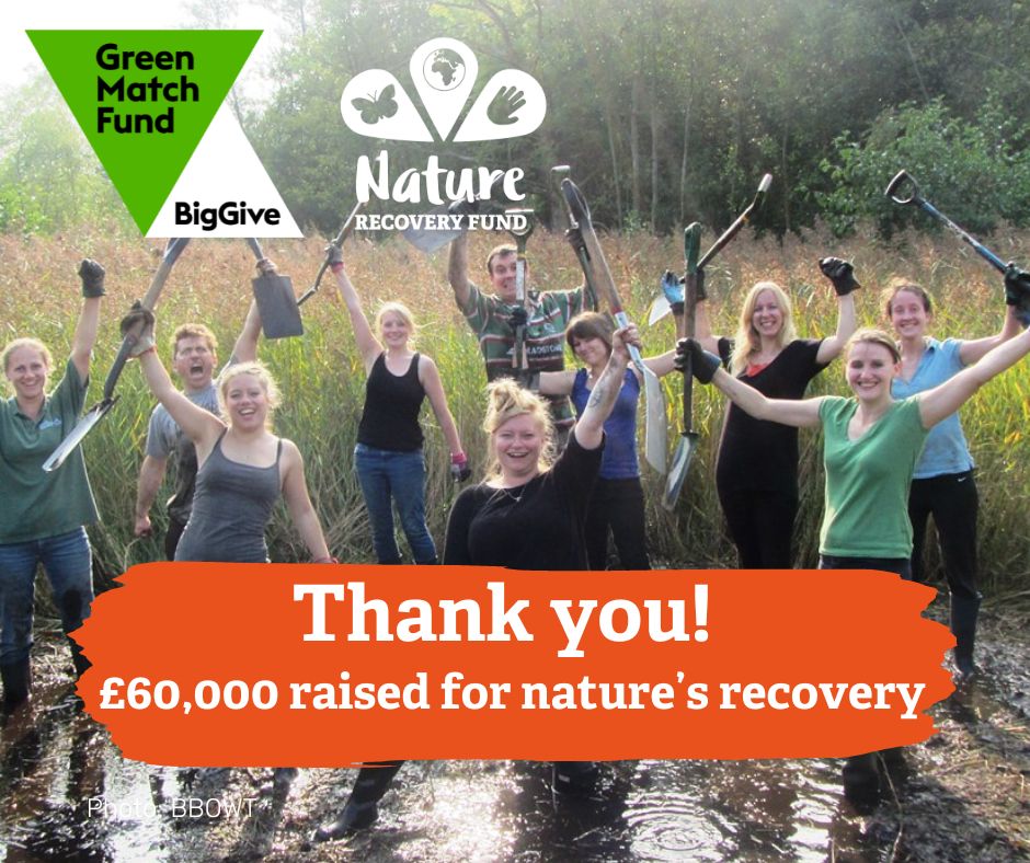 A huge thankyou from us to everyone who supported the @BigGive #GreenMatchFund. You've helped us raise £60,000 for nature's recovery in just one week. Amazing! 🎉