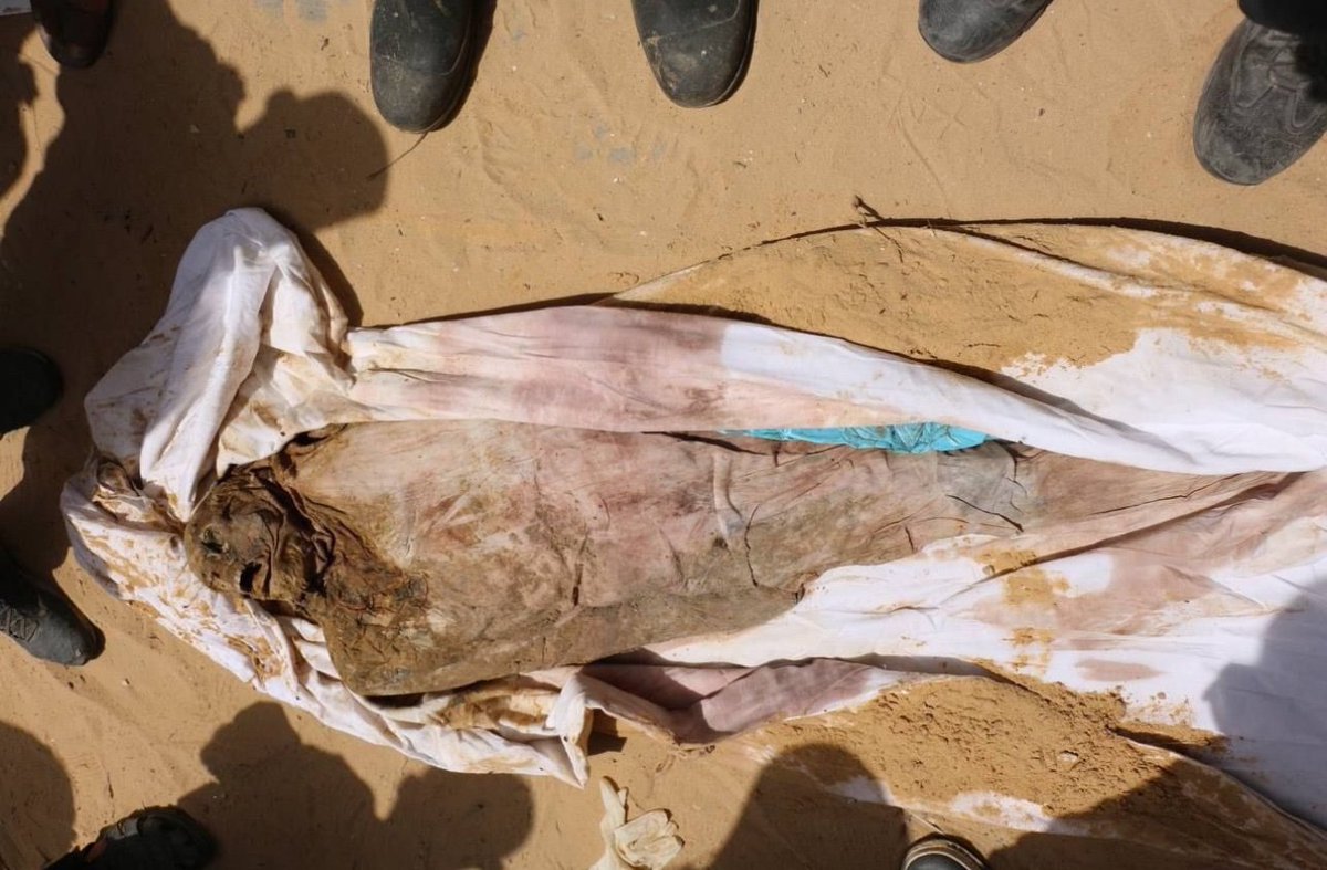 ECSaharaui__'s tweet photo. 🔴 ÚLTIMA HORA | #Gaza: Encuentran 392 cuerpos en una fosa común de los cuales 20 cuerpos fueron enterrados vivos, entre ellos también hay niños.

Las fuerzas israelíes enterraron varios cadáveres en bolsas de plástico a 3 metros de profundidad dentro del Complejo Nasser, Gaza. https://t.co/KWPXfILYQs