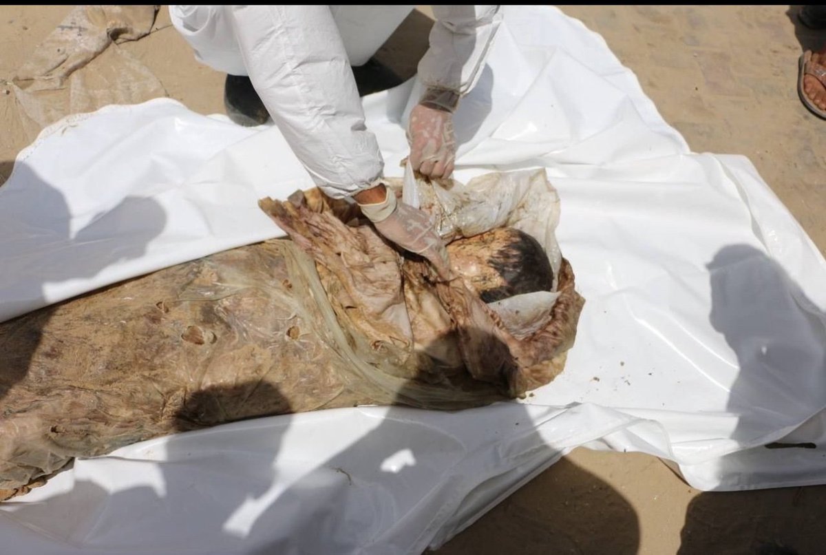 ECSaharaui__'s tweet photo. 🔴 ÚLTIMA HORA | #Gaza: Encuentran 392 cuerpos en una fosa común de los cuales 20 cuerpos fueron enterrados vivos, entre ellos también hay niños.

Las fuerzas israelíes enterraron varios cadáveres en bolsas de plástico a 3 metros de profundidad dentro del Complejo Nasser, Gaza. https://t.co/KWPXfILYQs