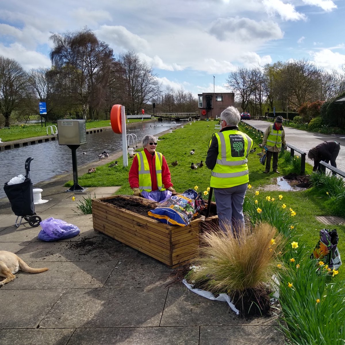 If you are aware of a project in Yorkshire that will improve the environment and requires funding - contact us now to be considered for a donation. bit.ly/3mW4Uiv Here's a project we recently supported - Woodlesford in Bloom 2024 💙