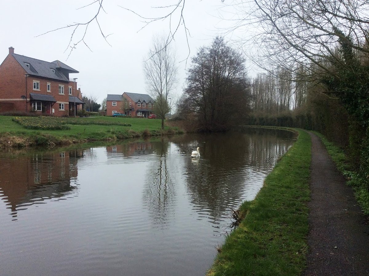 My photos from #April 2018 #iPadPhotos #CanalRiverTrust #GrandUnionCanal #MiltonKeynes #MK #Lock #Bridge #Heron #Reflections #Canals & #Waterways can provide #Peace & #calm for your own #Wellbeing #Lifesbetterbywater #KeepCanalsAlive