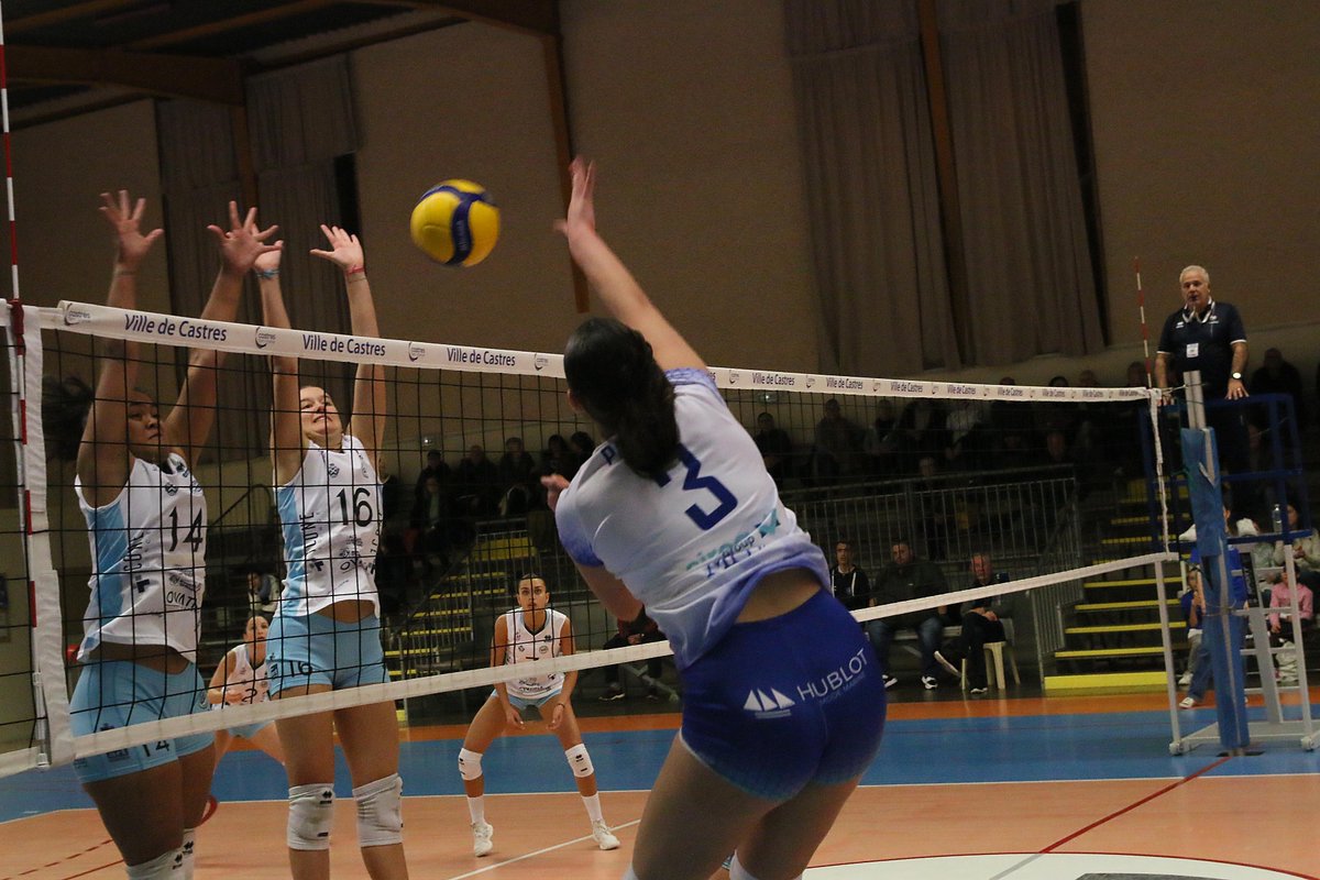 Castres Massaguel Volley-Ball tweet media