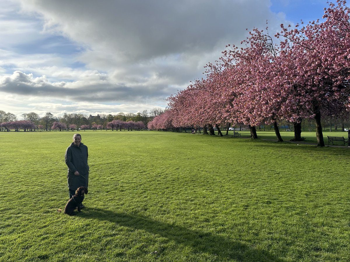 Morning on the Meadows
