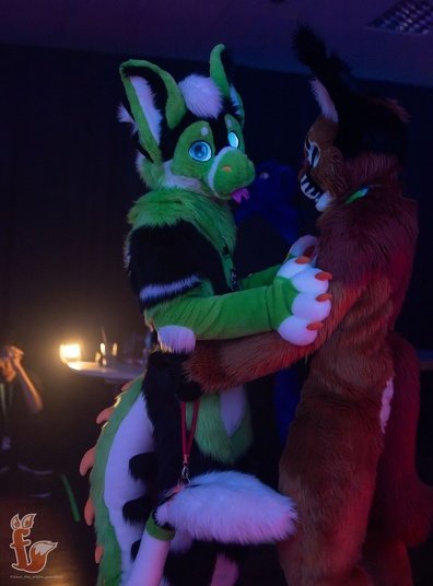 The way he looks at you with those glowing eyes 😘 #FursuitFriday 

📸 Akai (Furvester Crew)