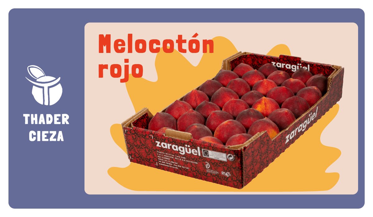 thader_cieza's tweet photo. 🍑El #melocotón rojo es el producto estrella del momento.🍑

📲Consulta las variedades en producción y su disponibilidad con nuestro departamento comercial: https://t.co/VvD9XoDgZH

#ThaderCieza https://t.co/ZX0QHBgSj9