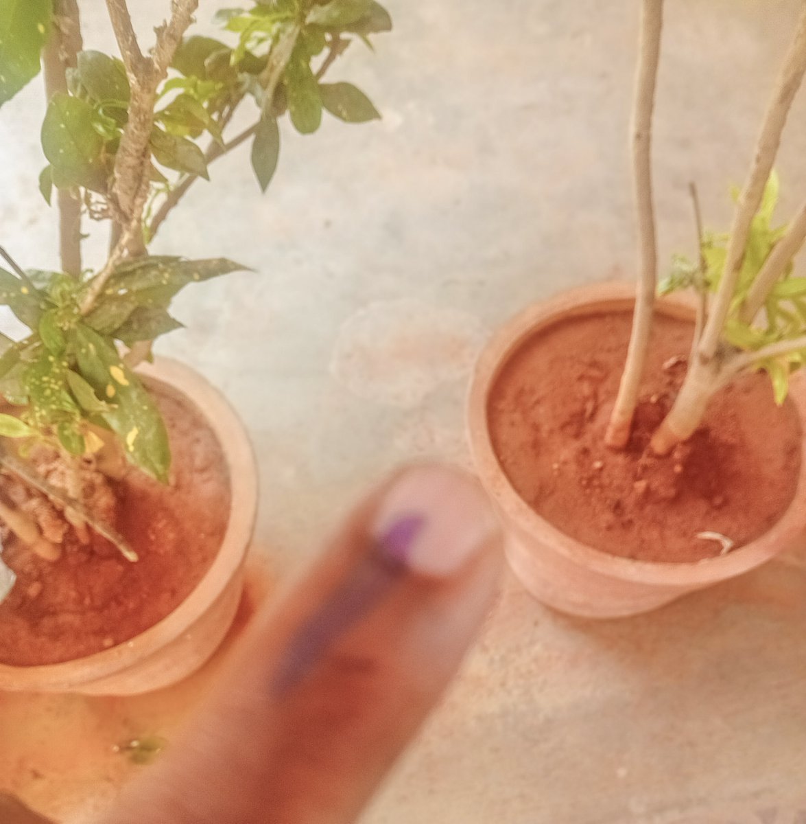 Somewhere inside of all of us is the power to change the Tomorrow.🌳 #KarnatakaElections