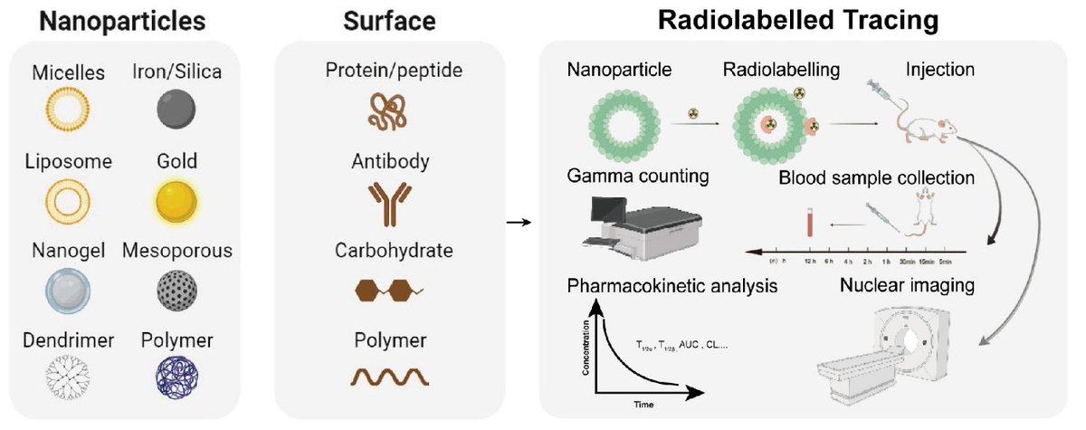 Are we revolutionizing #drug #delivery? Exploring blood pharmacokinetics in #nanomedicine with cutting-edge radiolabeled #tracing techniques！
sciopen.com/article/10.265…