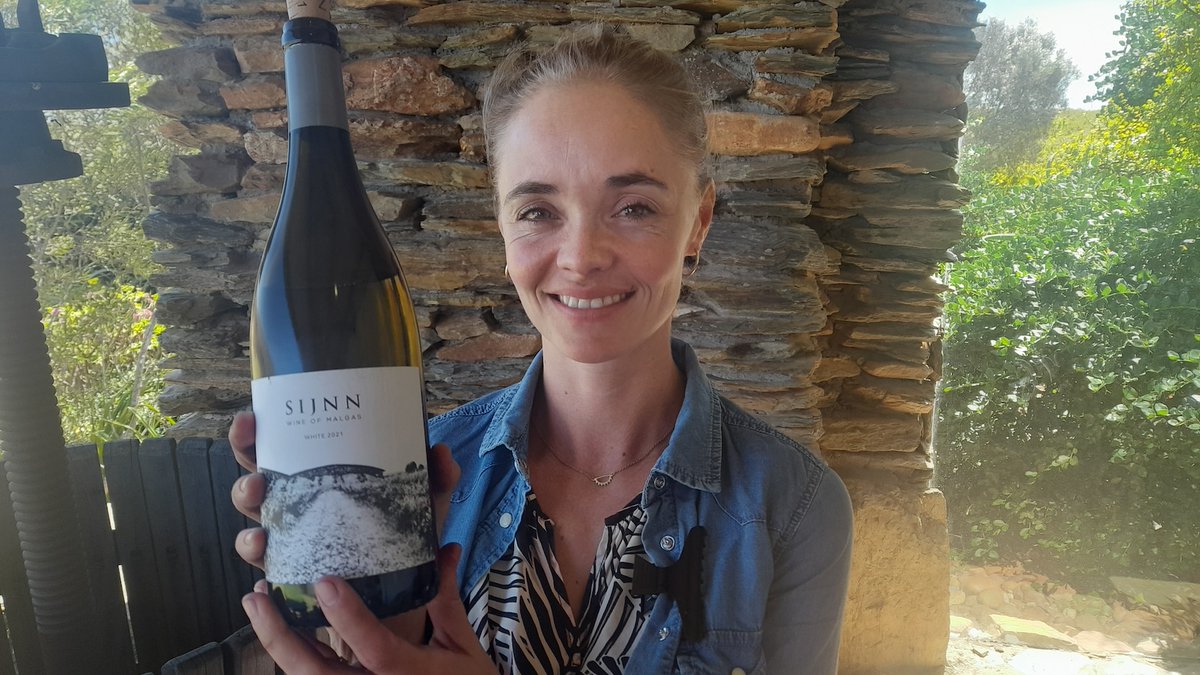 Saltburn, bushfires, little rain, mealybugs, flocks of starlings, constant wind… these are just some of the issues facing South African winemakers producing wine ‘on the edge’. We find out how they cope and pick out seven interesting wines. Click thebuyer.vercel.app/people/produce…