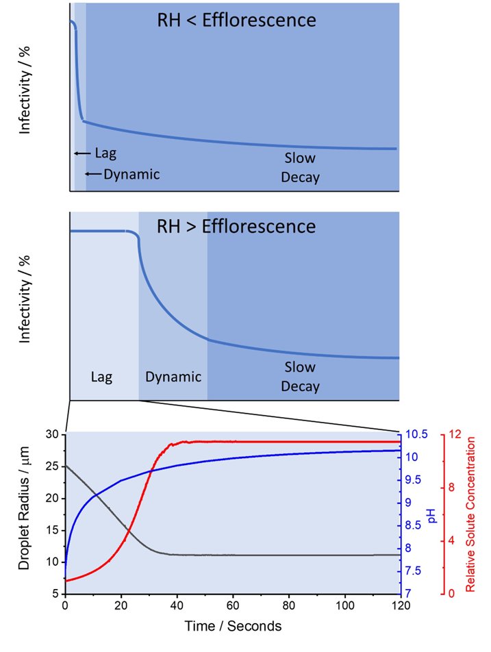 There are 3 distinct phases that we’ve termed: Lag Phase Dynamic Phase Slow Decay Phase The environmental parameters that affect the loss of viral decay in each phase is different. Knowing these differences will help to estimate the odds of short and long-distance transmission
