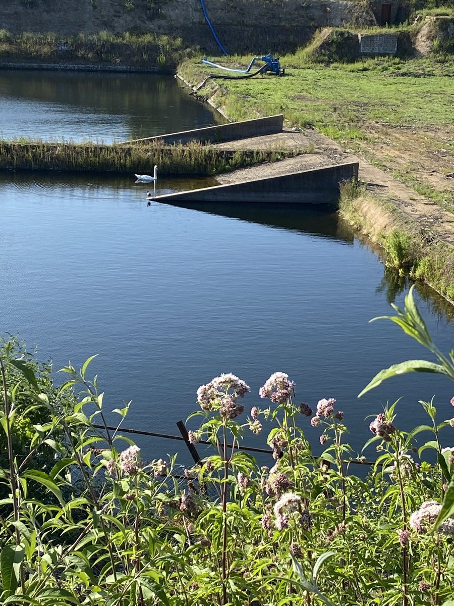 Pump House: conversion and change of use application 23/01636/FUL #Seethingwells was refused unanimously last night. Concern was expressed regarding piecemeal development of the former waterworks that would sever the link between the industrial building and the filter beds